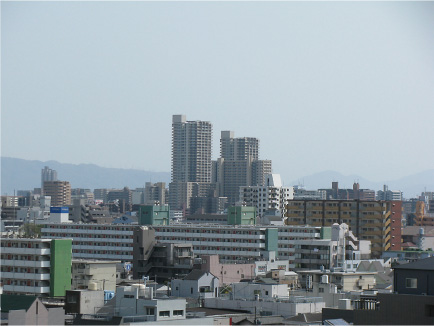 写真。翌日の様子