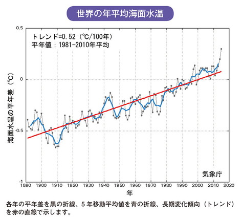 世界の年平均海面水温