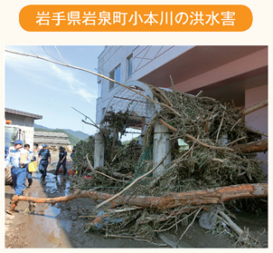 岩手県岩泉町小本川の洪水害