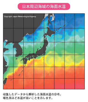 日本周辺海域の海面水温