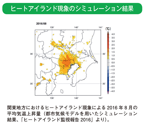 ヒートアイランド現象のシミュレーション結果