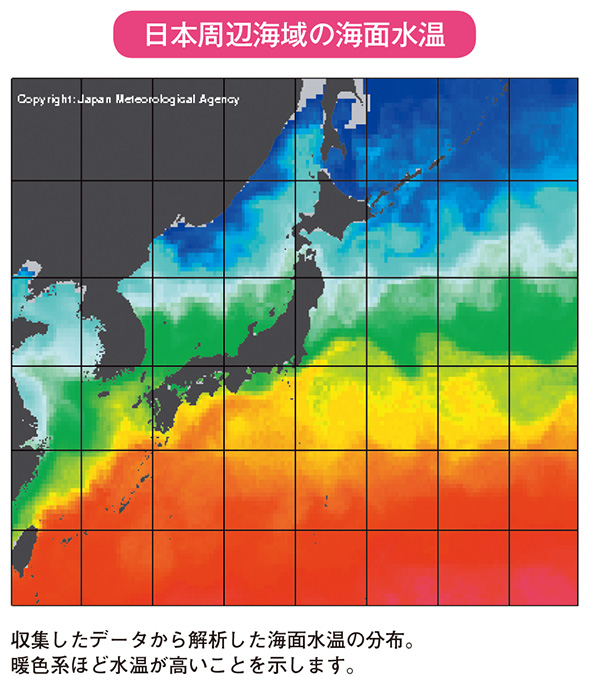 日本周辺海域の海面水温