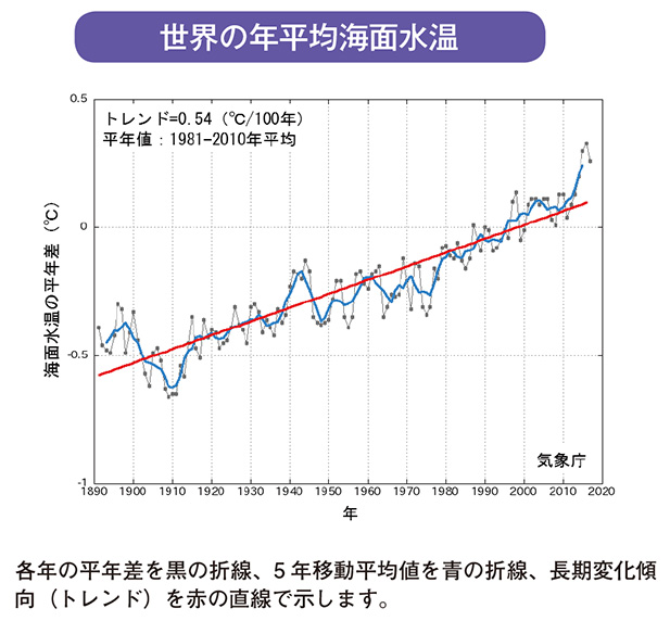 世界の年平均海面水温