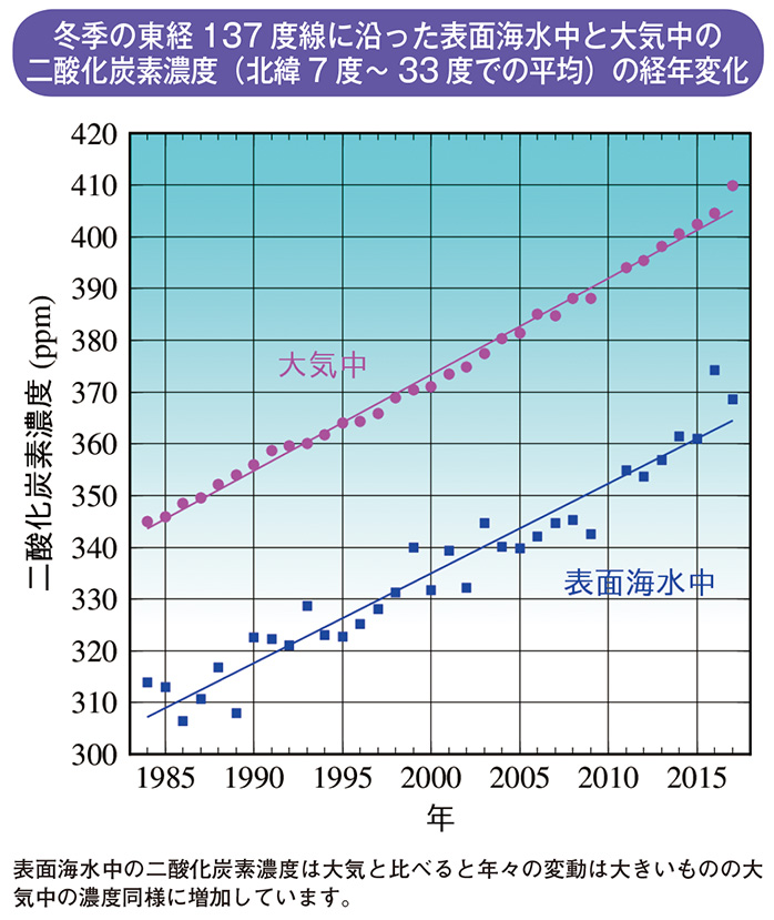 冬季の東経137度線に沿った表面海水中と大気中の二酸化炭素濃度（北緯7 度～ 33 度での平均）の経年変化