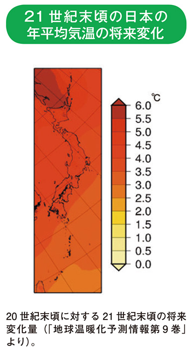 21世紀末頃の日本の年平均気温の将来変化