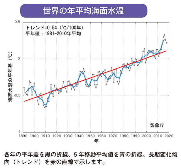 世界の年平均海面水温