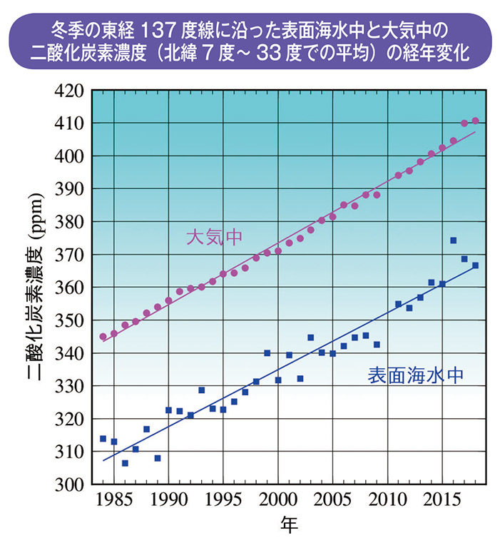 冬季の東経137 度線に沿った表面海水中と大気中の二酸化炭素濃度（北緯7 度～ 33 度での平均）の経年変化