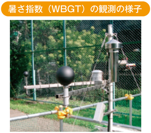 暑さ指数（WBGT）の観測の様子