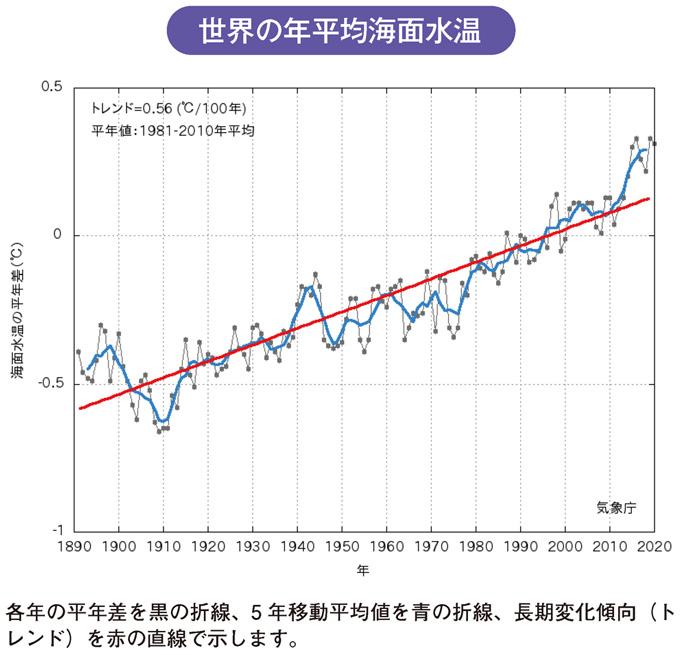 世界の年平均海面水温