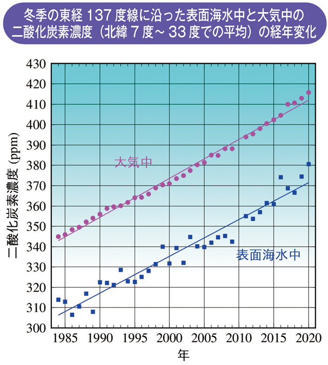 冬季の東経137度線に沿った表面海水中と大気中の二酸化炭素濃度（北緯7度～33度での平均）の経年変化