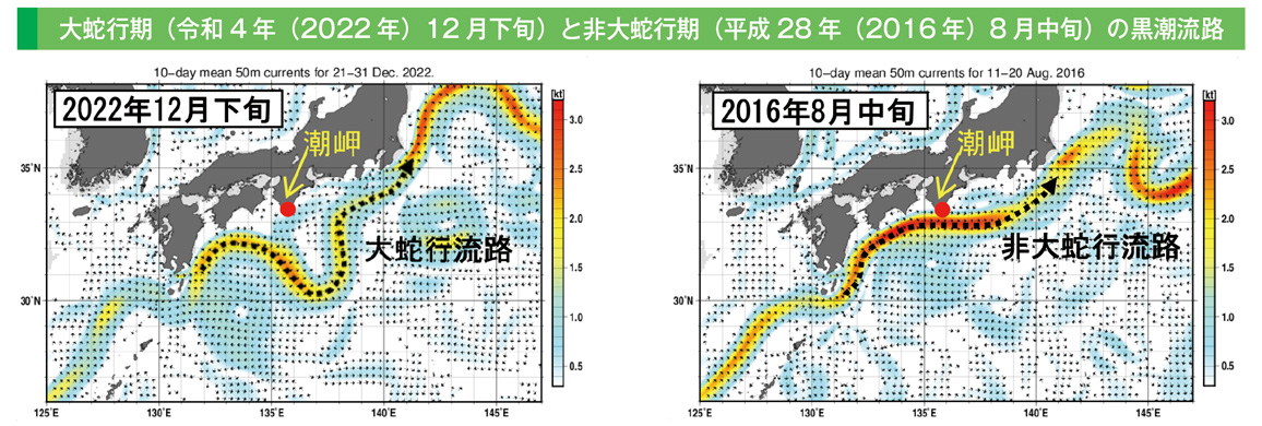 大蛇行期（令和4年（2022年）12月下旬）と非大蛇行期（平成28年（2016年）8月中旬）の黒潮流路