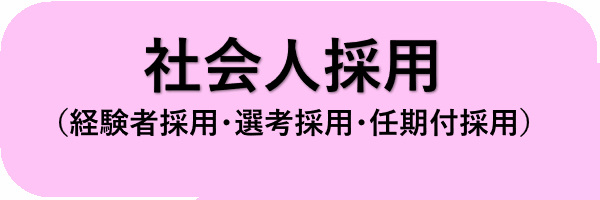 社会人採用関係