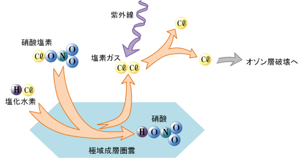 南極オゾンホールでのオゾン破壊に関わる化学反応