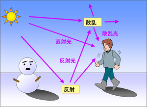 地表面の反射と紫外線