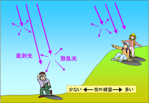 標高と紫外線の関係