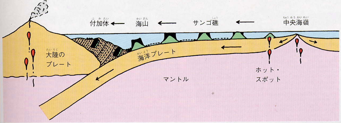 付加体の場所